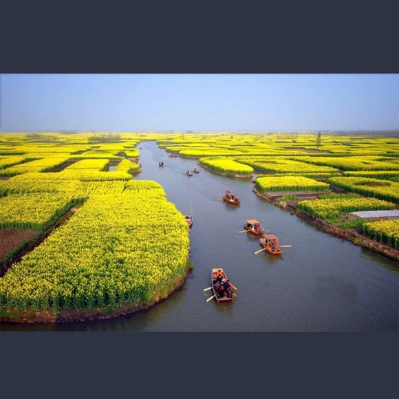 Meet your Posher, Jennifer - Picture 1 of 1